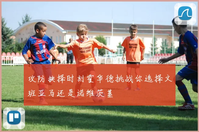 攻防抉择时刻霍华德挑战你选择文班亚马还是诺维茨基
